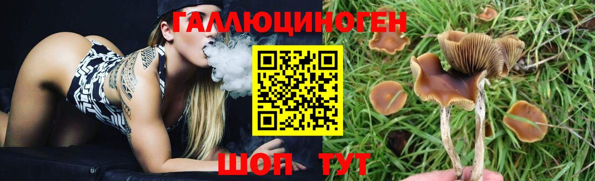 Галлюциногенные грибы MAGIC MUSHROOMS Сорочинск